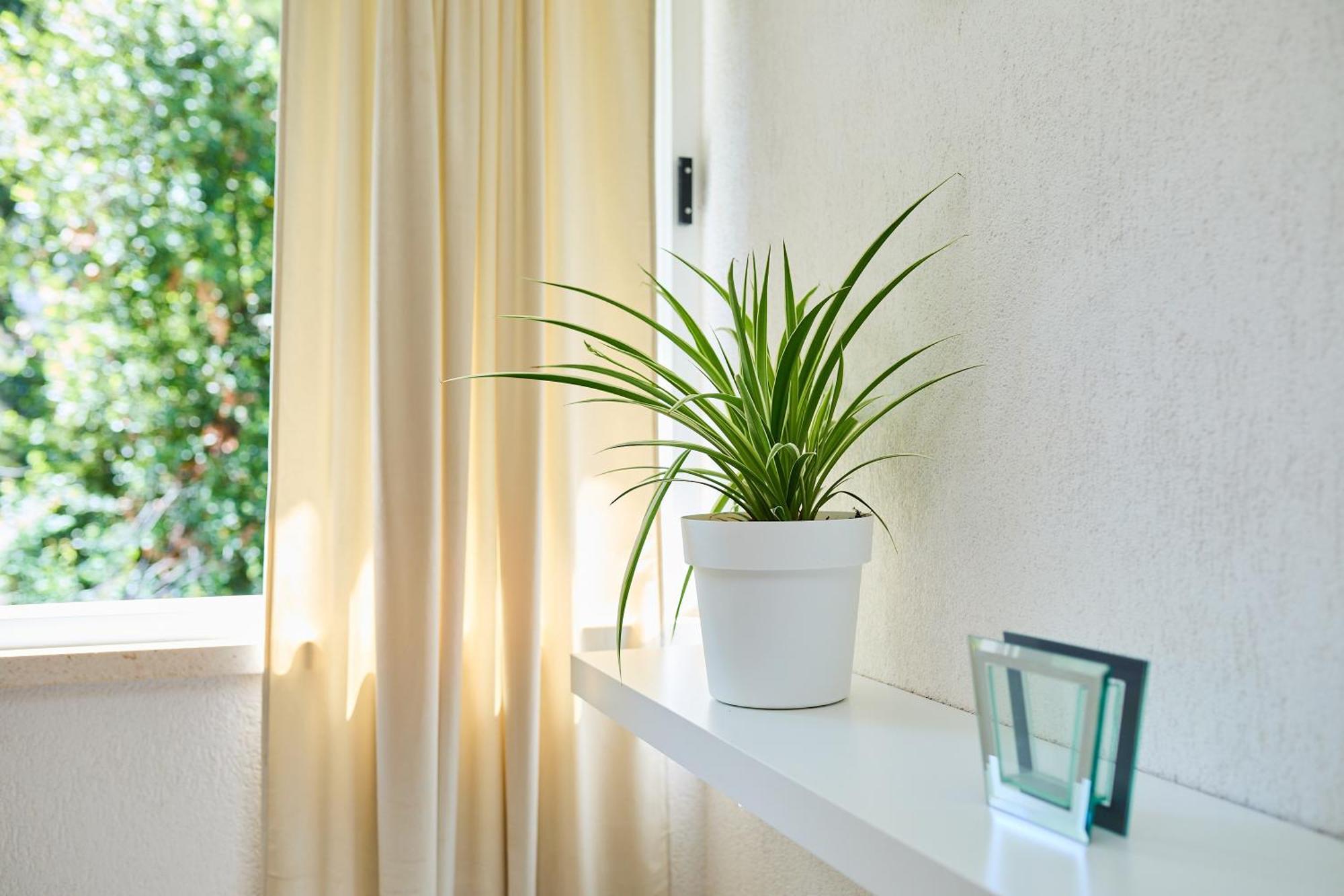 Apartment Promenada- 4Pax With Parking 두브로브니크 외부 사진